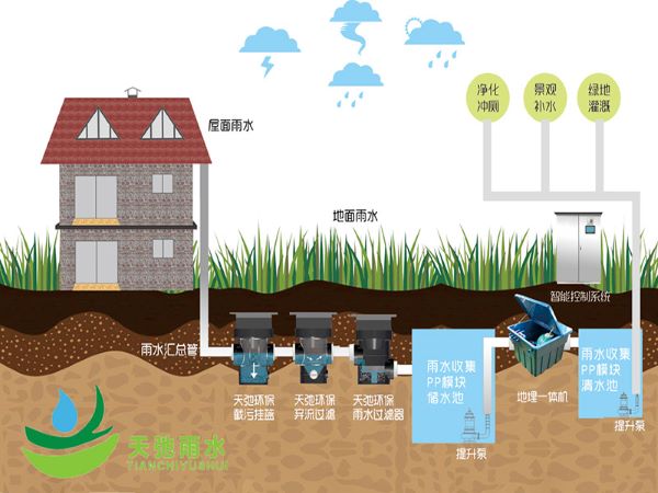 在野外可以通過(guò)哪幾種方式來(lái)收集雨水